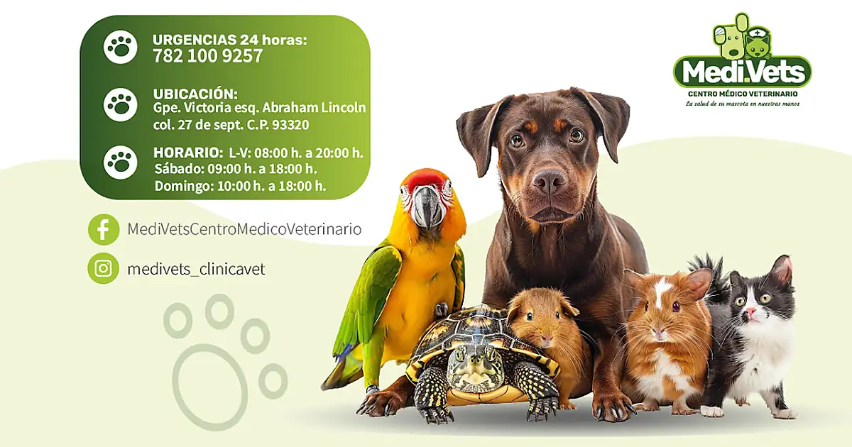 Centro Médico Veterinario Medi.Vets