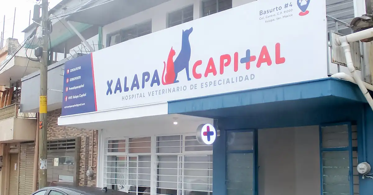 Hospital Veterinario de Especialidad Xalapa Capital